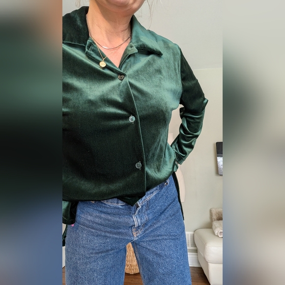 Retro Carol Reed Collection Women's Green Blouse Stretch Velvet Like Button-Up L - Picture 4 of 16